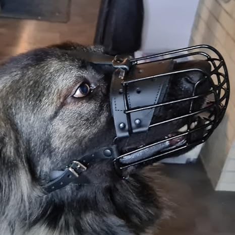 L&J Pets Uk Nuevo bozal de alambre recubierto de polímero de alambre canasta de perro bozal de metal fuerte para pastor alemán, labrador y otros perros pequeños (7)