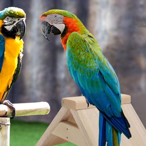 VANZACK 2 peças de suporte de descanso de pombos, animais de estimação, suporte para brincar de páss