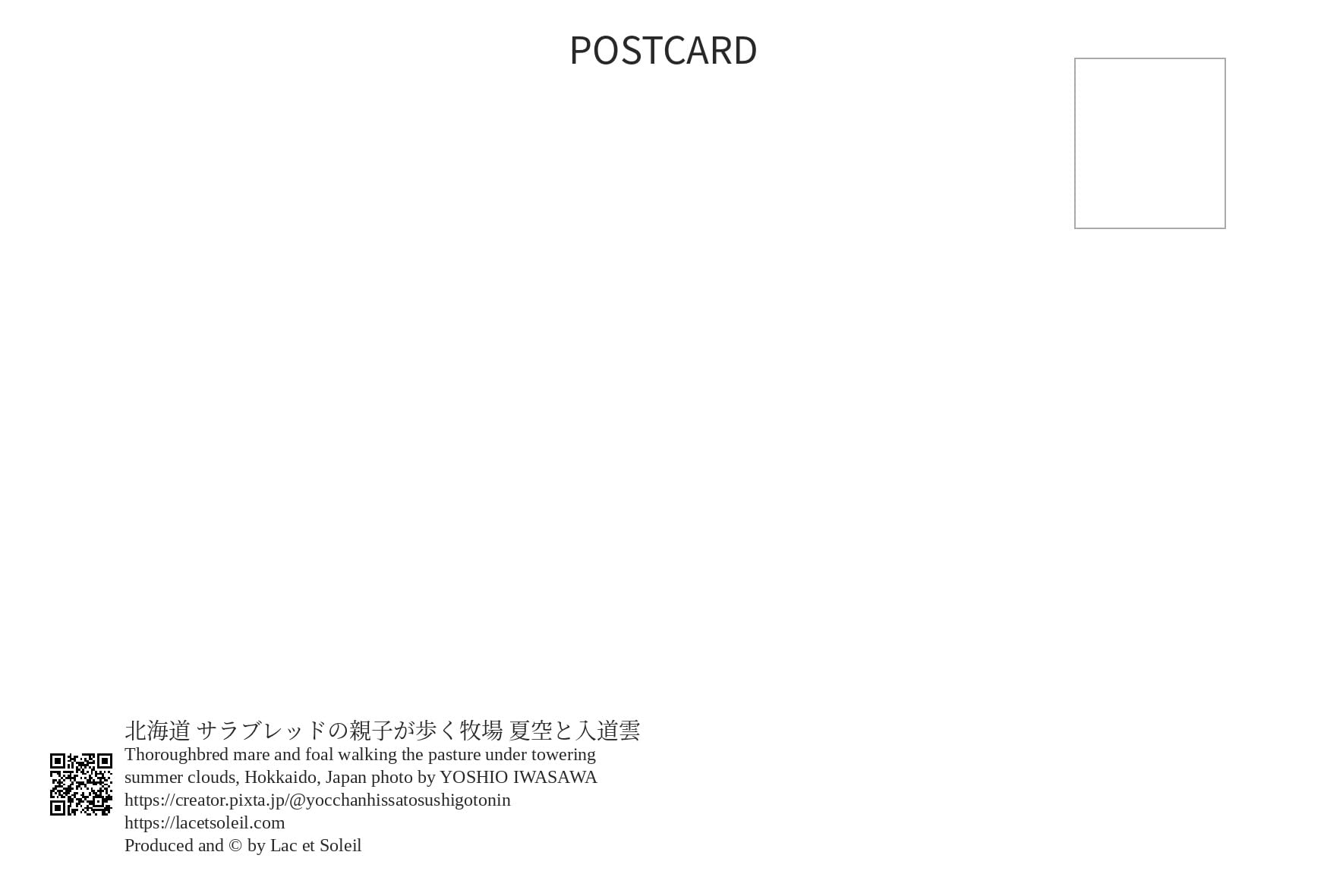 Amazon | 【日本の風景ポストカード】北海道 サラブレッドの親子が歩く
