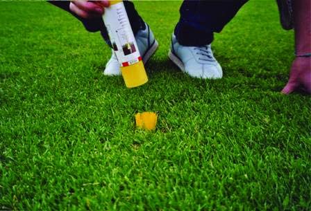 PleeFix, Location Marking Tufts for Soccer, Football, Baseball, Lacrosse, Athletic Fields - 25 Piece kit, Available in 6 Vivid Colors