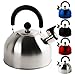 KROLLMANN, bollitore a fischio in acciaio inossidabile da 2,5 l, in colori assortiti, a forma di teiera , Acciaio INOX, argento, 2,5 l