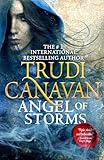 Angel of Storms (Millennium's Rule)