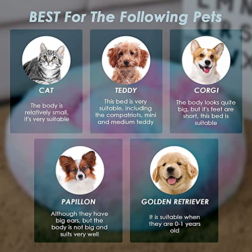 jiuzcare Hundebett Rundes PlüSch Katzenbett Haustierbett PlüSch Hundebett Katzenbett SchöNe Tierbett Super Weich Doughnut-Form Haustierbett FüR Katzen Donut Kissen Hundebetten FüR Kleine Hunde (Lila)