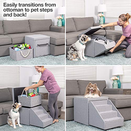 5 Best 2022 Vet Elevated Dog Beds with Stairs