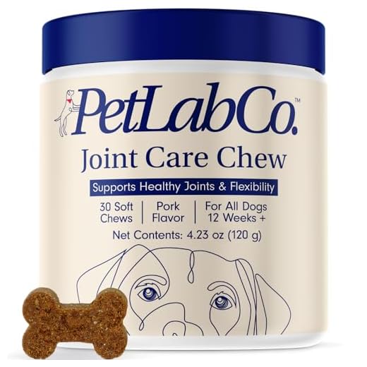 Petlab Co. Joint Chews for Dogs | Canine Hip and Joint Support | High Levels of Glucosamine, Omega 3, Turmeric, Vitamins and Minerals | Packaging May Vary