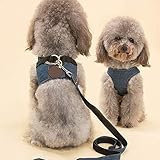 FANQIECHAODAN Verstellbarer Hunde-Laufgürtel, Denimweste-Typ Zugseil Kleines Haustier