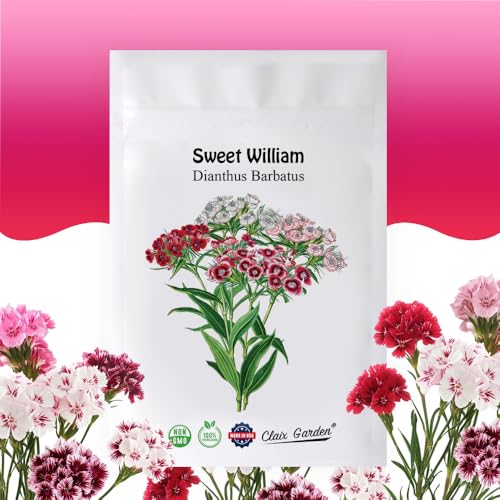 Sweet William Mix - Dianthus Barbatus - 10,000 Seeds - Bright Colors, Heirloom, Non-GMO, USA Grown, Excellent for Pollinators, Perennial, Aromatic Flowers
