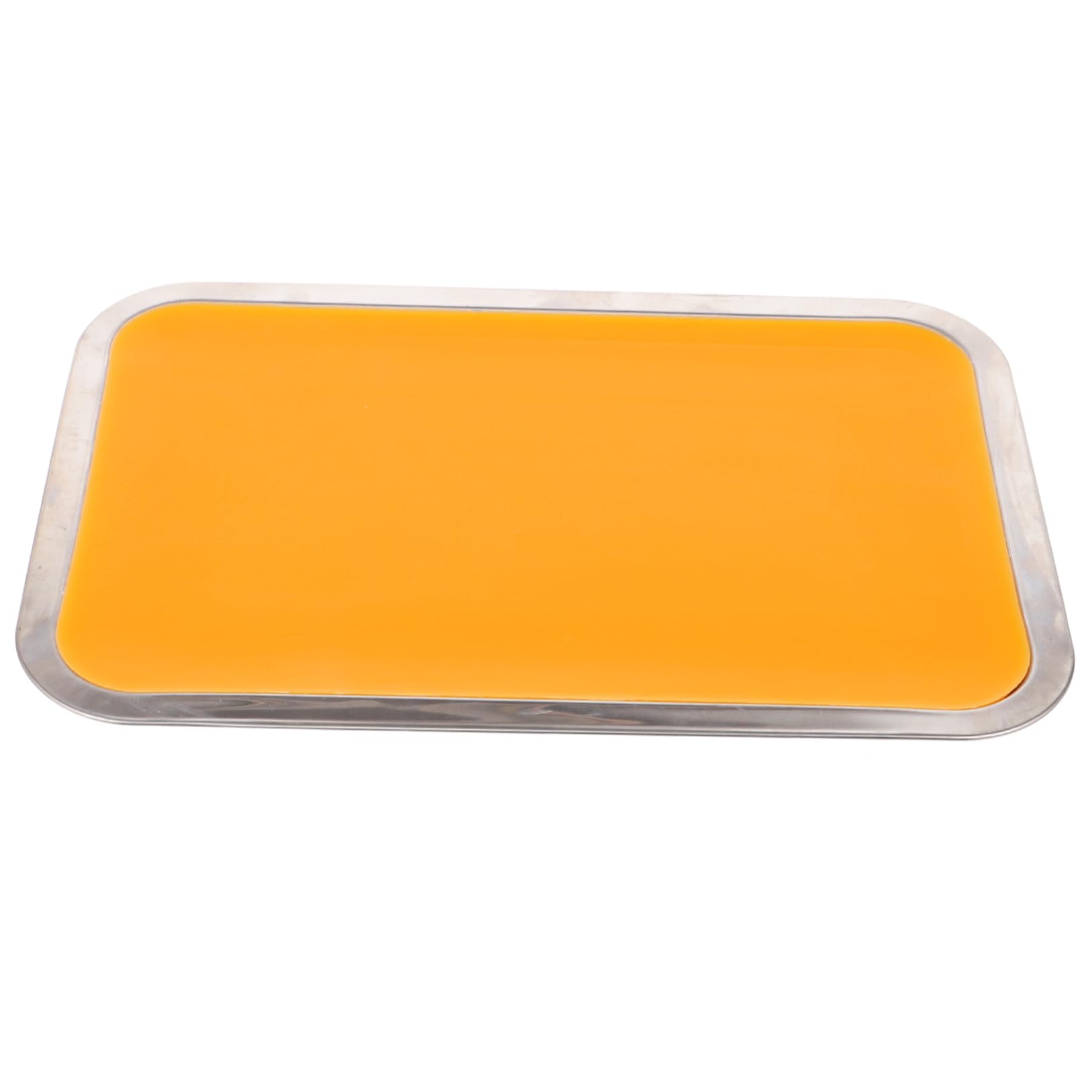 Cabilock Vassoio di Dissezione 21x31cm con Cera in Acciaio Inossidabile Adatto per Dissezione Anatomica e Uso Didattico