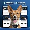 Collier Anti Aboiement Chien, Citronnelle Collier Anti Aboiement Chien Spray, Colliers de Dressage Rechargeables Et Sécuritaires avec 2 Sangles pour Le Remplacement