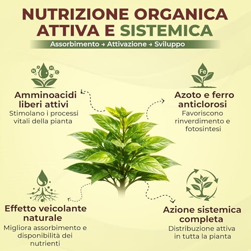 Bioemoplus® Vero Sangue Di Bue Concime Liquido Biologico 1 Kg | Rinverdente Per Piante Con Azoto E Ferro | Stimola Crescita E Vigore | Concime Organico Universale Per Piante Verdi, Da Frutto E Orto - 3