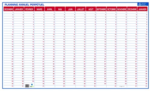 PLANNING ANNUEL PERPETUEL 60X99 cm BOUCHUT