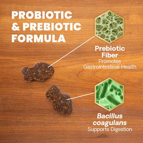 VetriScience Gut Health Chews, Probiotic Everyday Digestive Supplement for Cats, Pet Probiotics for Digestion Support, Gas and Diarrhea, Immune Support, 120 Million CFU Per Chew, Duck, 60 Count