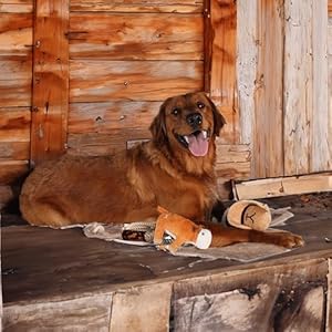 Official Yellowstone Merchandise Indoor Dog Toy Bundle Variety Gift Set Lasso Rope Plush Squeaky Brown Cow and Cowboy Hat with Tug Rope