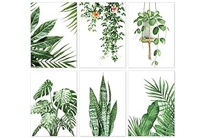 PP OPOUNT 6 Pack 5D Diamond Art Kits for Adults, Green Plants...