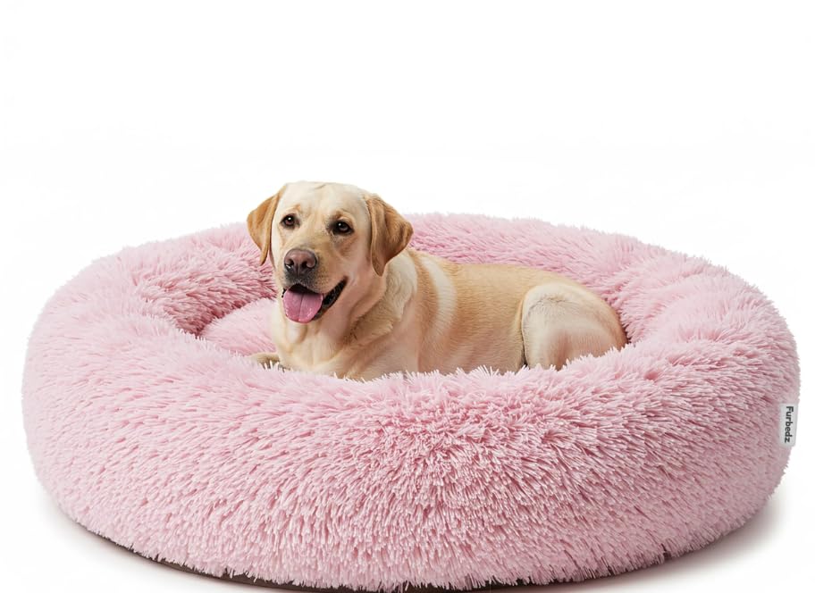 Furbedz Dog Bed for Large Dogs, Stress Relief Design, Washable Bed with Removable Interchangeable Cover, Ultra-Soft Plush, Internal Lining, Orthopedic Memory Foam Support, Waterproof Base