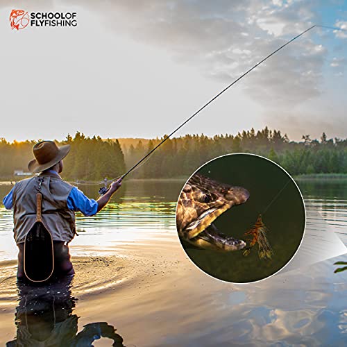 School of Fly Fishing - 40 PC Fundamental Flies for Fly Fishing Collection