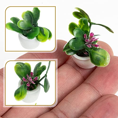 TOYANDONA Miniaturpflanzen 24 Topfdekoration Bonsai Dekoratives Simulation Dekoration für Schmuck Landschaftsmodell… – Bild 6