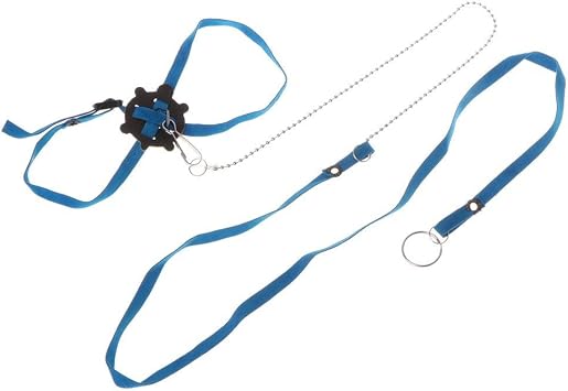 Hypeety Bearded Dragon Harness and Leash Set Adjustable Reptile Lizard Leash for Iguana Small Pets Escape-Proof Walking Gear with Safety Lock Pet Carrier Accessories Blue