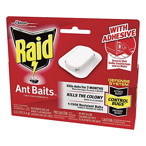 Which Best Ant Bait Traps Should You Buy Now? Spicer Castle