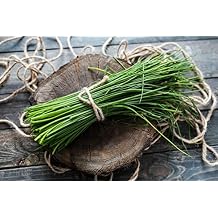 400+ Seeds Garlic Chives Onion - Vegetable Green
