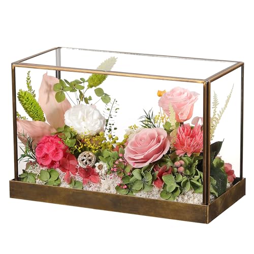 Rosas para el día de la madre, regalos para mamá, rosa preservada real para siempre en cúpula de cristal, rosas para el día de la madre, regalos para mujeres, abuela, esposa, suegra