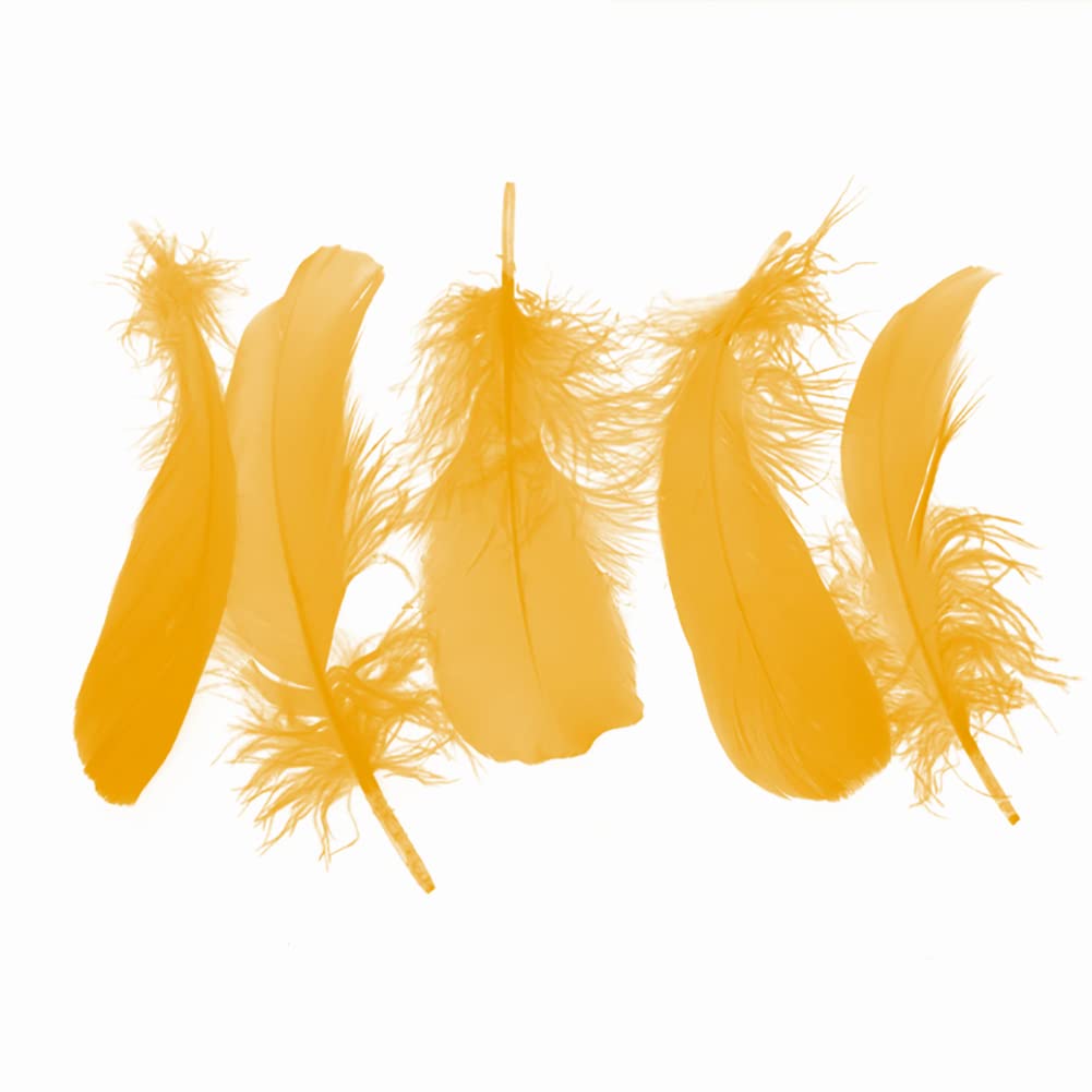 VIAKY 400 PIUME D'oca Naturali Per Lavori Fai Da Te Piume - 8