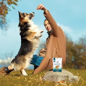 Mclovins salmon freeze dried treats 3×2 5oz 7 5oz excessive protein grain free canine coaching rewards all pure made in usa   cucciolini doodles