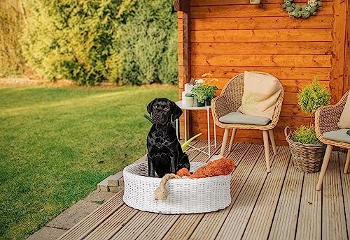 greemotion Hundebett aus weißem Polyrattan mit Kissen, ca. 85 x 25 x 75 cm