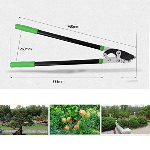 Troncarami a cricchetto per alberi da giardino Potatore estensibile Troncarami da giardino Utensili per cesoie per rami Acciaio legato SK5