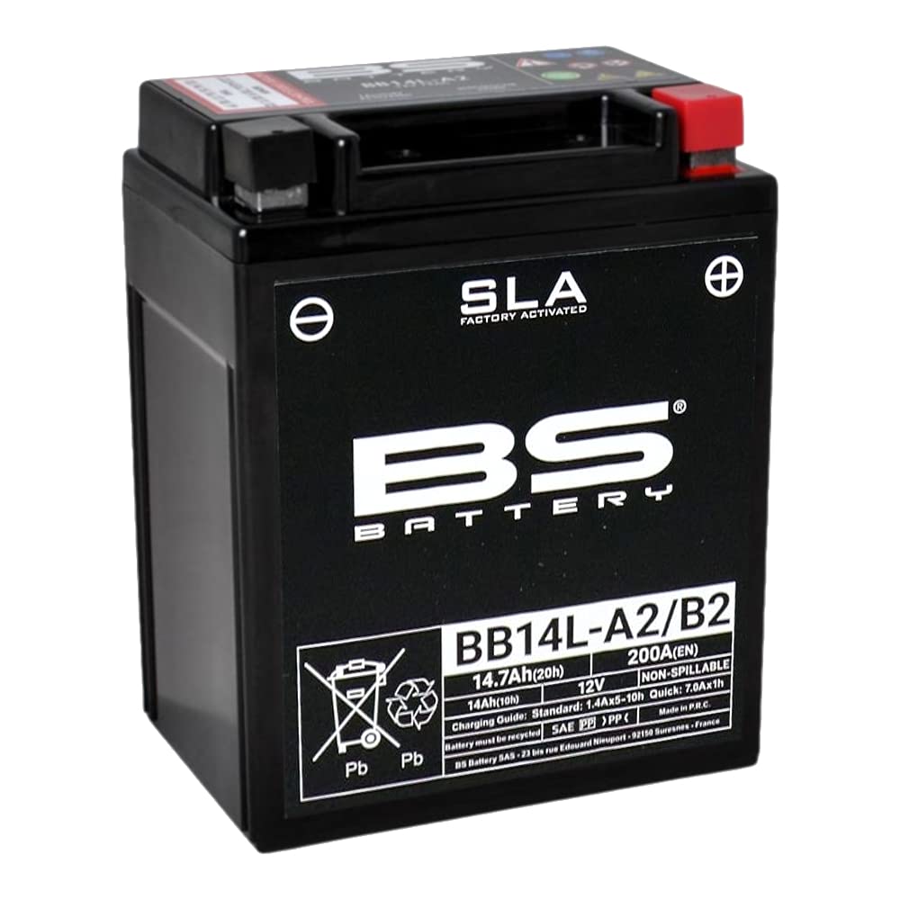 Batteria radiocodice 300759 BB14L-A2 AGM SLA batteria, Nero
