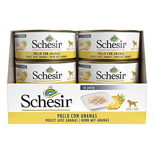 Schesir Dog Fruit Hühnerfilet mit Ananas, Hundefutter nass mit Früchten, 18 Dosen x 150 g