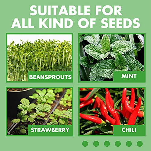 Bandeja de mudas 10 peças, bandeja de germinação de plantas, sem furo de drenagem, usada para estufa