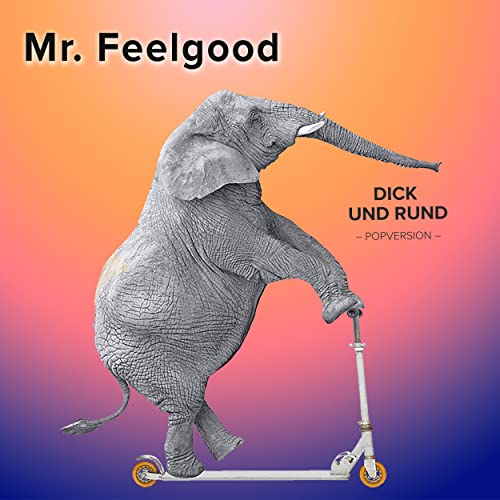 Mr. Feelgood