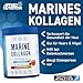 Applied Nutrition Marine Collagen - Kollagen Pulver aus Hydrolysiertem Kollagenprotein für Gesunde Haut, Haare, Nägel (300g (Pack of 1), Unflavoured)