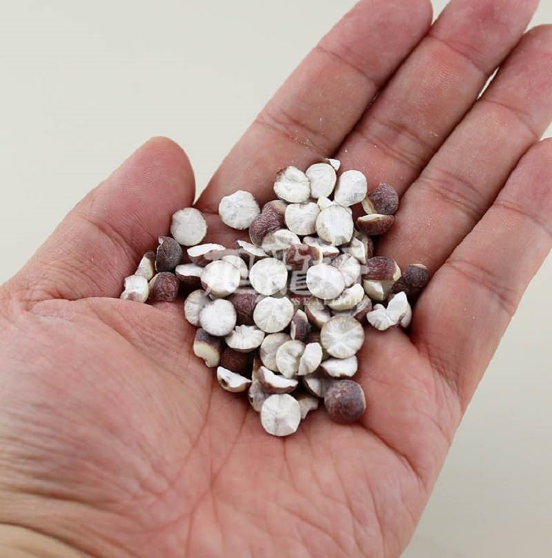 Xlseafood Premium Unsulphure Dried Fox Nuts Gorgon Euryale Natural Gordon Euryale Seed PricklyLily美国旭龙行特级无漂白无硫芡实鸡头米 (16OZ)