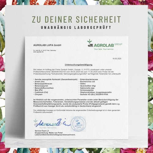 Immunsystem-Komplex - 500mg Echinacea mit Vitamin C Zink Selen L-Histidin & Kalmegh - Immunsystem stärken * vegan & ohne Zusätze - 120 Echinacea Purpurea Kapseln für 60 Tage