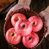 50 piezas semillas de manzana (manzana, manzano) Las plantas de jardín son plantas perennes resistentes. Las plantas perennes son plantas perennes resistentes. regalos para los amantes