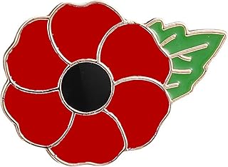 Red Satin Poppy Brooch Pin Remembrance Day Jewerly Gift Memorial Gifts Flower Pin for Women Men Veterans Gifts Enamel Lapel Pin Poppy Brooch Pins for Memorial Day Present