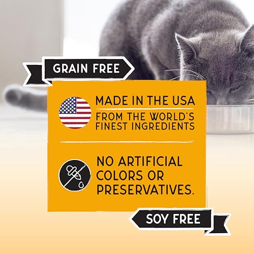 Image of Blackwood Bounty Dry Cat Food, Chicken & Turkey Recipe for All Life Stages, 10 Pound Bag, High Protein, Grain Free
