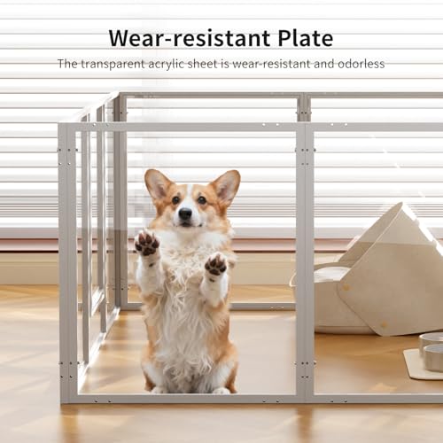 Hundelaufstall aus Acryl für Welpen und kleine Hunde mit Tür H:60 cm Metallrahmen Welpenlaufstall für Wohnung 10 Paneele Fest und Glatt, Einfache Installation, Weiß