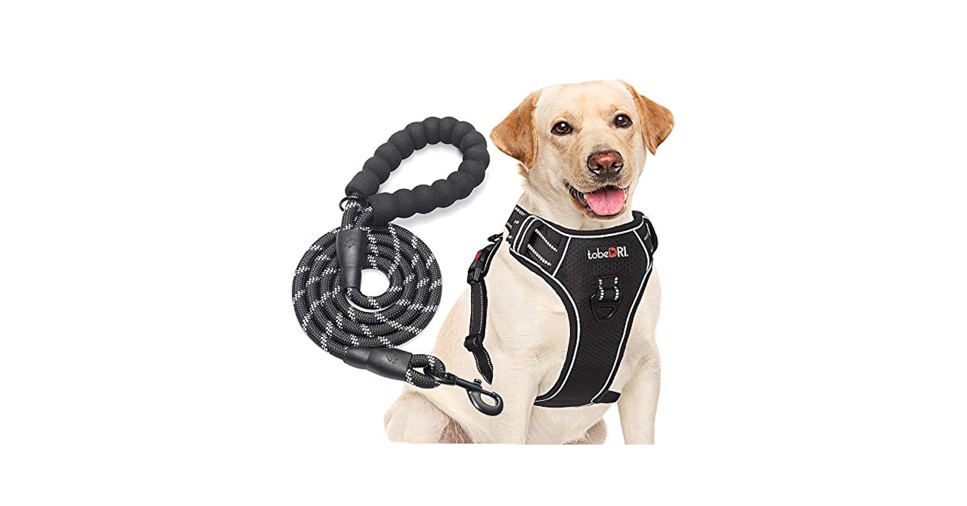 Amazon.com : tobeDRI No Pull Dog Harness Adjustable