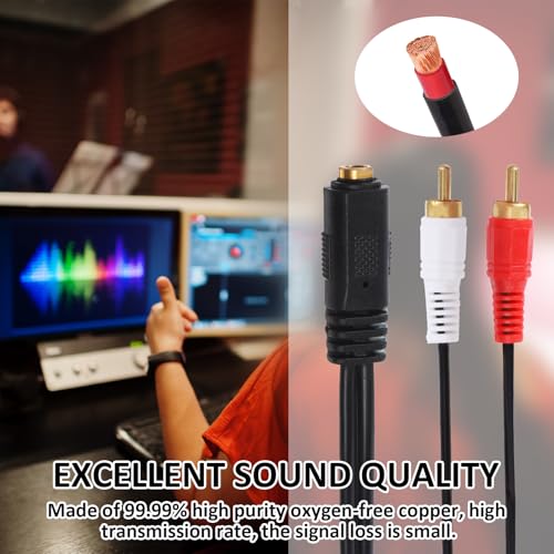 Cable adaptador RCA a Jack 1/4 hembra 37 cm miniatura 7