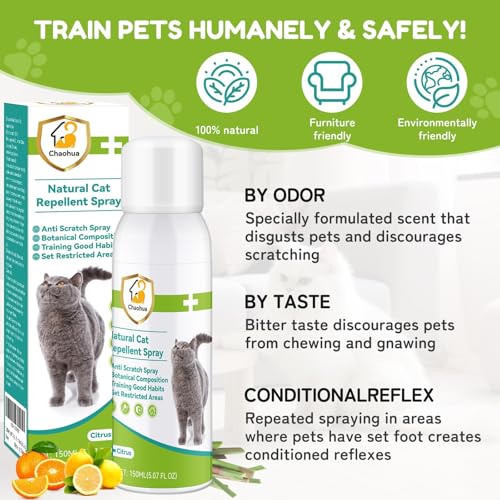 Katzenabwehrspray für Katzen, Verbesserte Fernhaltespray Katzen für Innen und Außen, Anti Katzen Spray, natürlichen Wirkstoffen, Schützen von Möbeln, Böden, Sofas, Teppichen-150ml, Grün