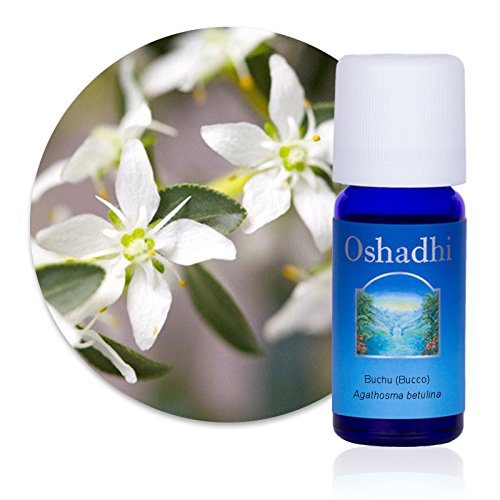 Huile essentielle Buchu Bucco confort urinaire et articulaire 3 ml