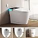 Vipbear Smart Toilet with Heated Seat & Auto Flush, Tankless Toilets for Bathroom Modern One Piece Toilet Standard Comfort Height Toilet with Slow Close, Night Light, Water-Saving Siphon Dual Flush