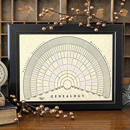 Schema dell'albero genealogico per compilare il