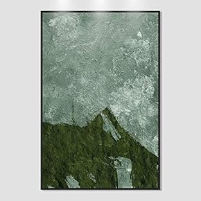 SIGNWIN Framed Canvas Wall Art Color Block Canvas...