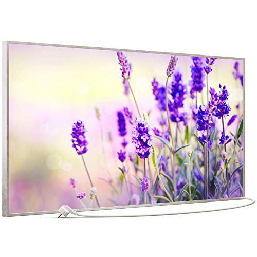 STEINFELD Bild Infrarotheizung mit Thermostat | Made in Germany | viele Motive 350- 1200 Watt Rahmen silber (750W, 061 Lavendel)