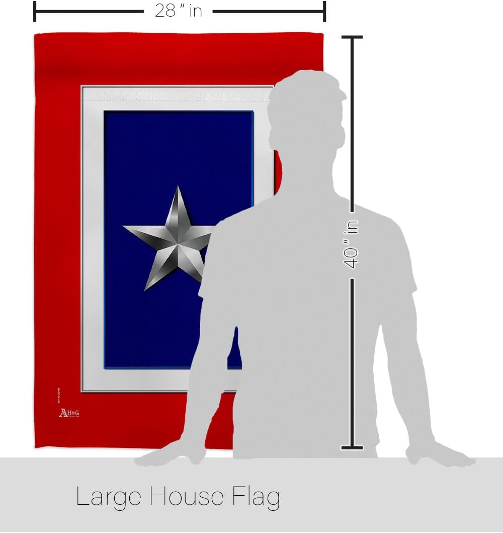 Silver Star House Flag - Eagle Set Armed Forces Military Service All Branches Support Honor United State American Veteran - Decoration Banner Small Garden Yard Gift Double-Sided Made in USA 28 X 40