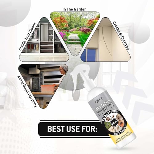 Image of Natural All-in-One Insect Spray | Herbal Indoor Bug Control | Bedbugs, Ants, Mosquitoes Cockroach, Rat, Lizard, Bedbugs, Spider | Snake & Roaches Treatment | Safe for Home Use